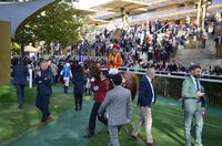 　凱旋門賞で５着だったビザンチンドリーム