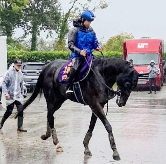 　北村友がまたがり最終調整するクロワデュノール