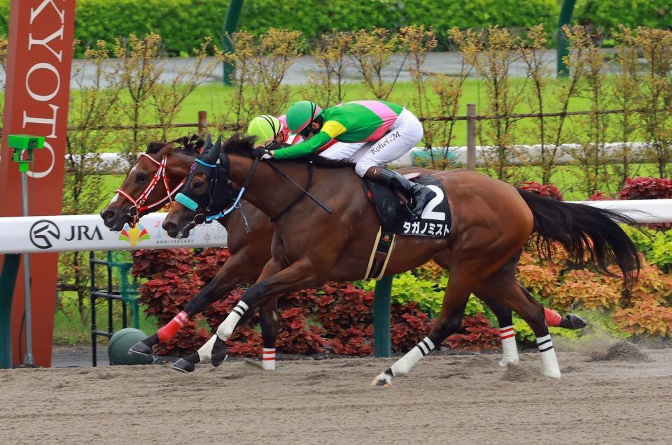 　藤森Ｓを制したタガノミスト（手前）＝撮影・石湯恒介