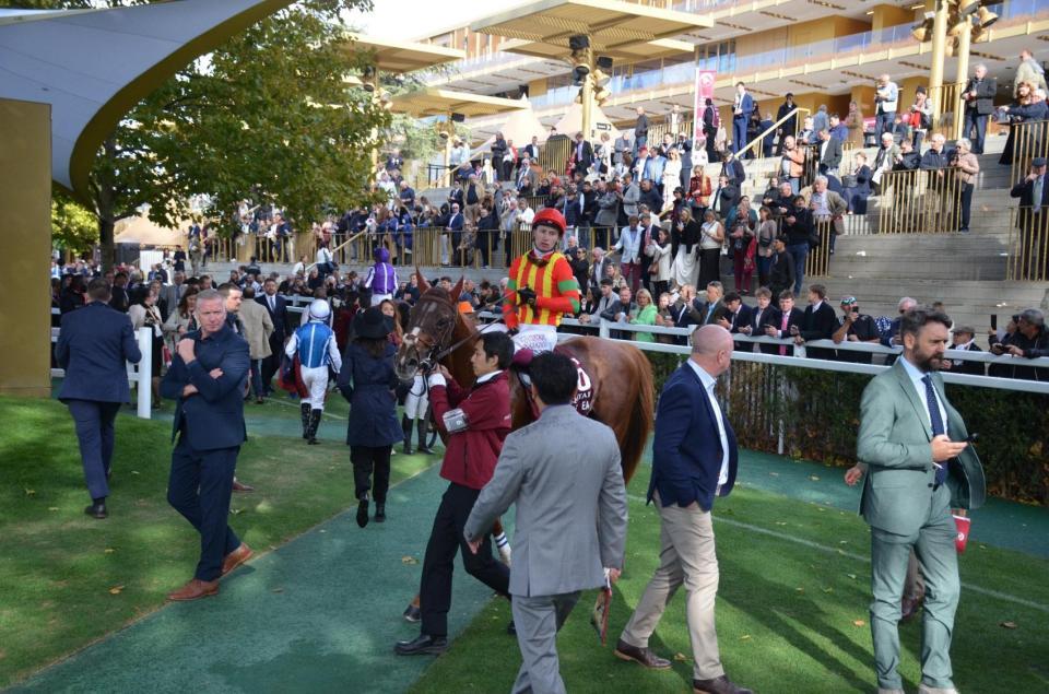 　凱旋門賞で５着だったビザンチンドリーム