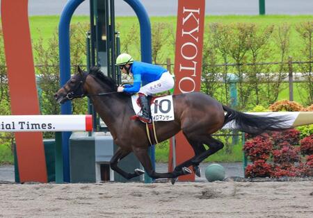 　新馬戦を快勝したパイロマンサー（撮影・石湯恒介）