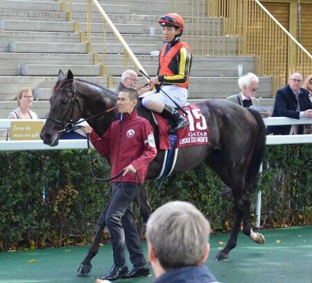 　１４着に敗れたクロワデュノール