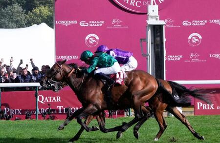 　凱旋門賞を制したダリズ（手前）＝（ＡＰ＝共同）