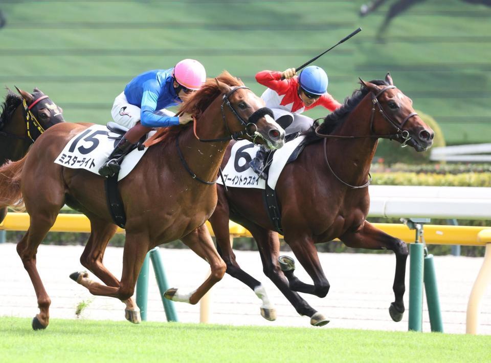 　内からミスターライトをかわすゴーイントゥスカイ（右）