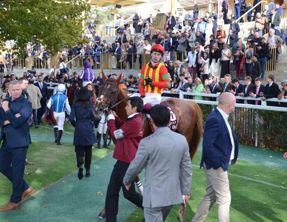 　凱旋門賞で５着に終わったビザンチンドリーム