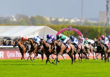 【凱旋門賞】日本勢の熱に水を差すような冷たい雨　来年以降の初優勝に期待