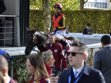 　１４着に敗れたクロワデュノール（５日）