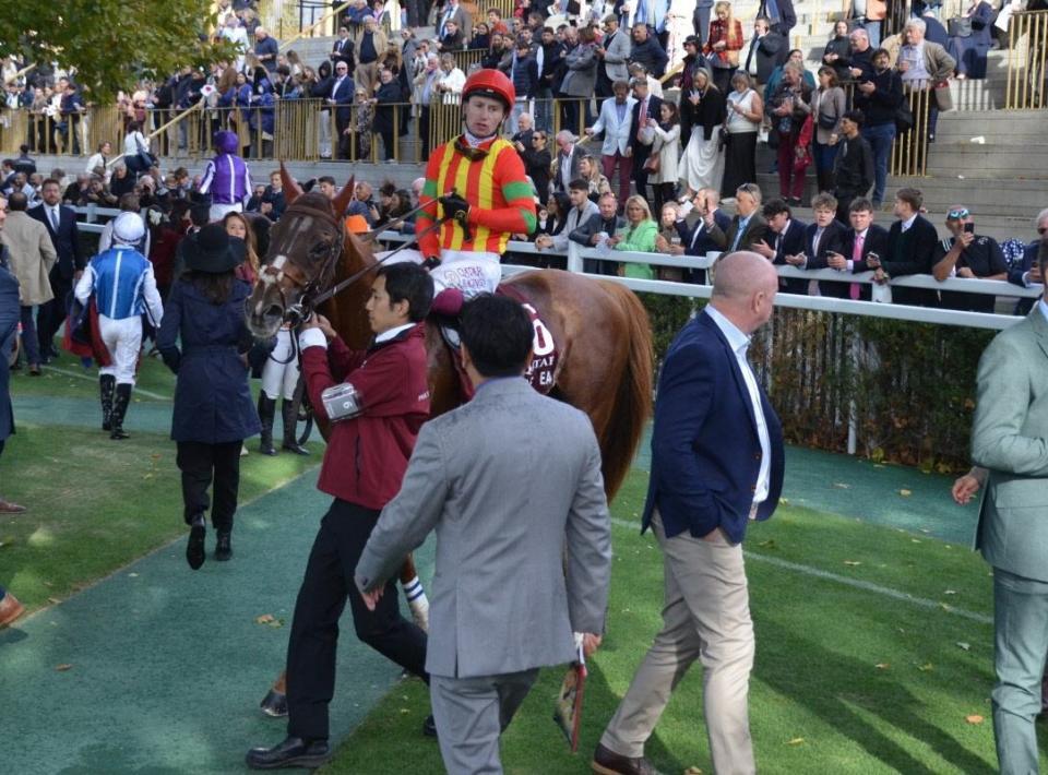 　凱旋門賞で５着だったビザンチンドリーム（５日）