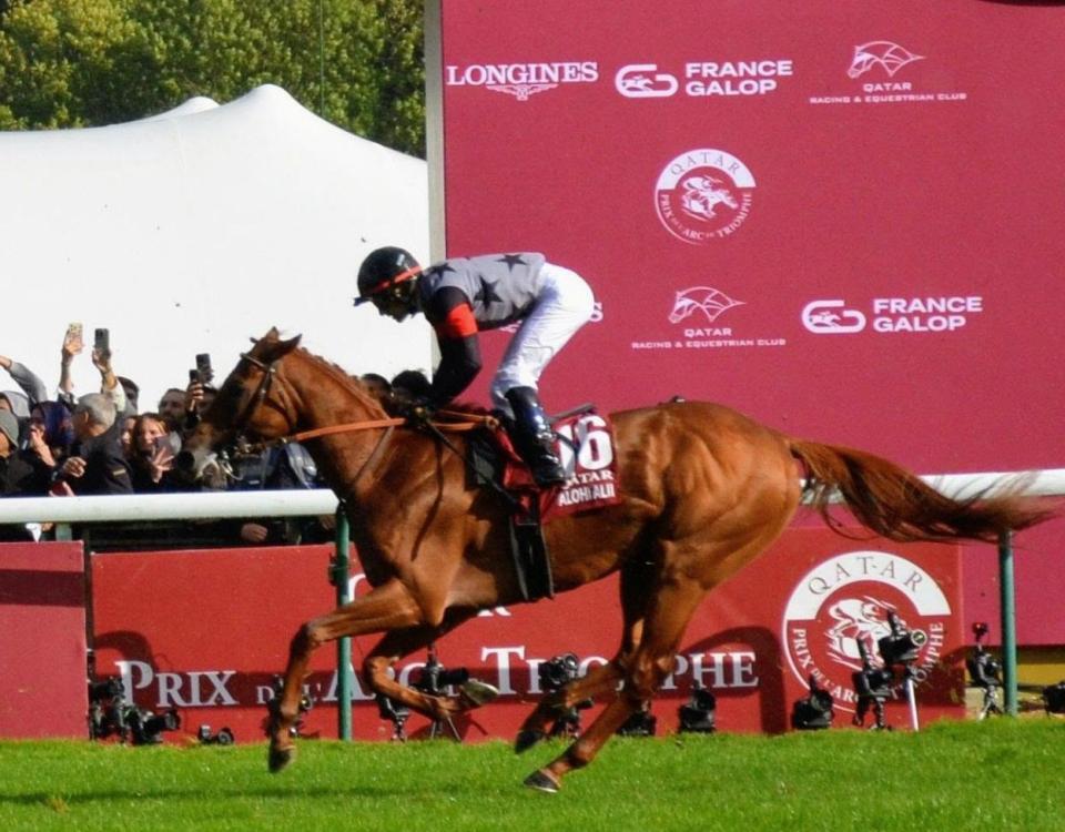 　１６着でゴールしたアロヒアリイ（５日）