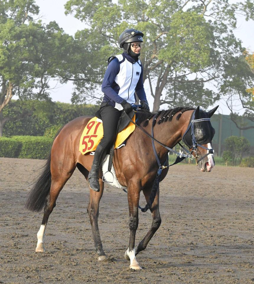 　悲願の重賞制覇を目指すボンドガール