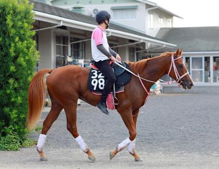 　非凡な素質を持つショウナンバンライ