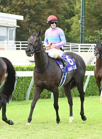 　スプリンターズＳ３着だったナムラクレア＝９月２８日