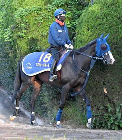 ダービー２着馬マスカレードボールが天皇賞・秋でルメールと新コンビ