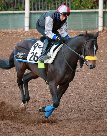 　シュヴァリエローズ