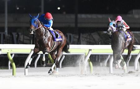 　ナチュラルライズ（右）の追撃を振り切りジャパンダートダービーを制したナルカミ（撮影・園田高夫）