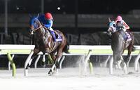 　ナチュラルライズ（右）の追撃を振り切りジャパンダートダービーを制したナルカミ（撮影・園田高夫）