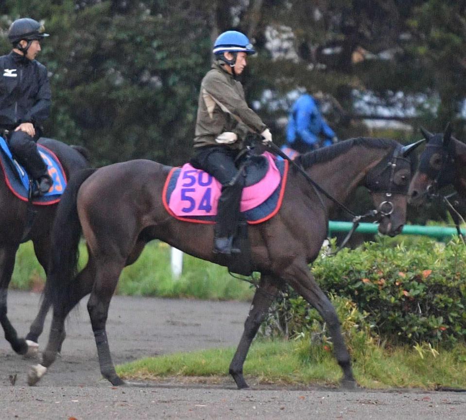 新馬戦】イクシード 兄を超えるか G1で6勝のイクイノックス全妹