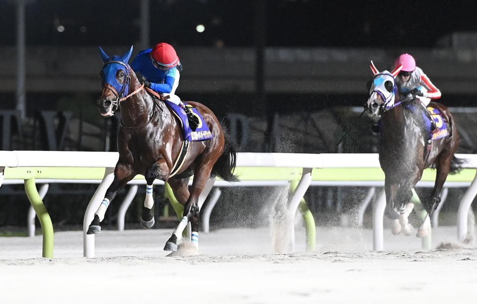 　ナチュラルライズ（右）の追撃を振り切りジャパンダートダービーを制したナルカミ（撮影・園田高夫）
