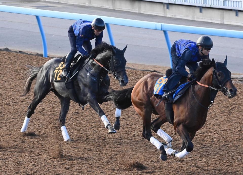 　加速感十分に美浦Ｗを駆けたゾロアストロ（左）