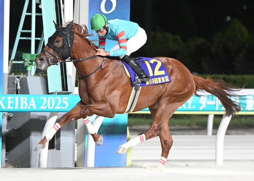 地方競馬】東京盃 唯一の3歳馬のヤマニンチェルキが直線で抜け出し