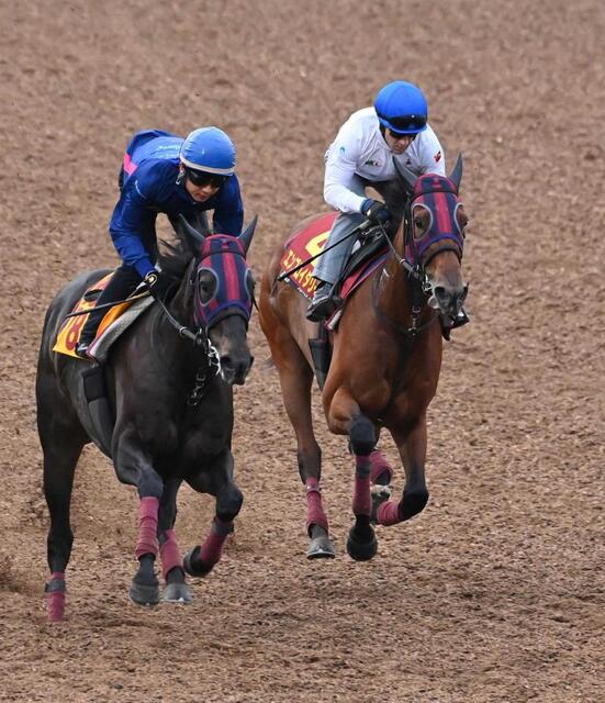 秋華賞】桜花賞馬エンブロイダリー 2冠へ巻き返し期す ルメール「元気