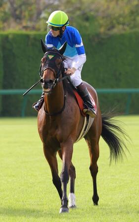 テレサ、エリカエクスプレスが秋華賞へ向け１週前追い