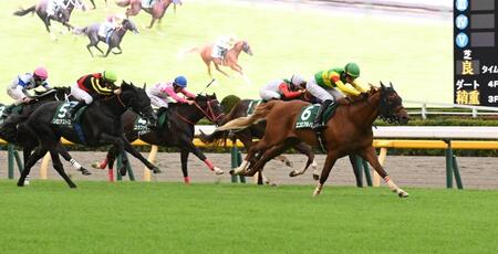 　馬群から抜け出しサウジアラビアＲＣを制したエコロアルバ（右）＝撮影・持木克友