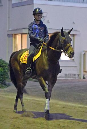 　アドマイヤマツリ