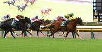 　馬群から抜け出しサウジアラビアＲＣを制したエコロアルバ（右）＝撮影・持木克友