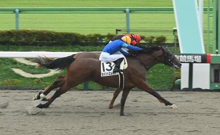 　新馬戦を勝ったセイントエルモズ（手前）＝撮影・持木克友