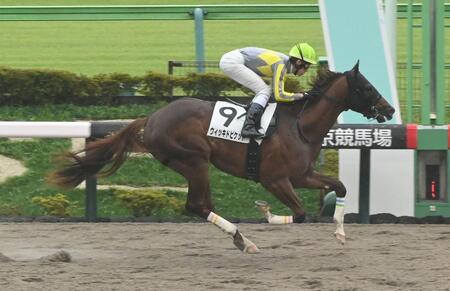 　新馬戦を勝ったウイッキドピケット（撮影・持木克友）