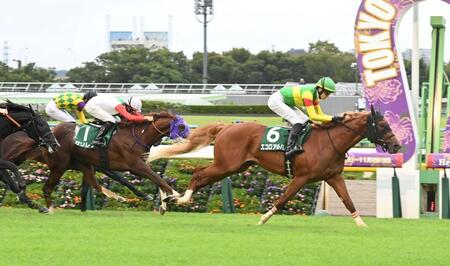 　大外を豪快に突き抜けたエコロアルバ（右）＝撮影・持木克友