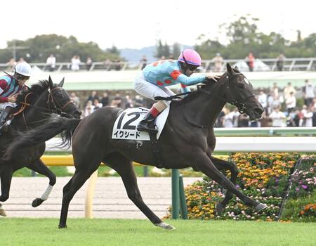 　新馬戦を勝利しルメールに頭をなでられるイクシード（撮影・園田高夫）