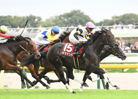 　アイルランドトロフィーを制したラヴァンダ（右）＝撮影・園田高夫