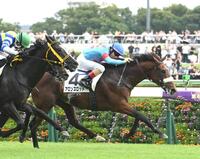 　東京８Ｒを制したアロンズロッド（右）＝撮影・園田高夫