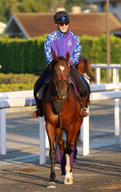 東京＆京都の危険な人気馬】アドマイヤズーム 京都11R・スワンS