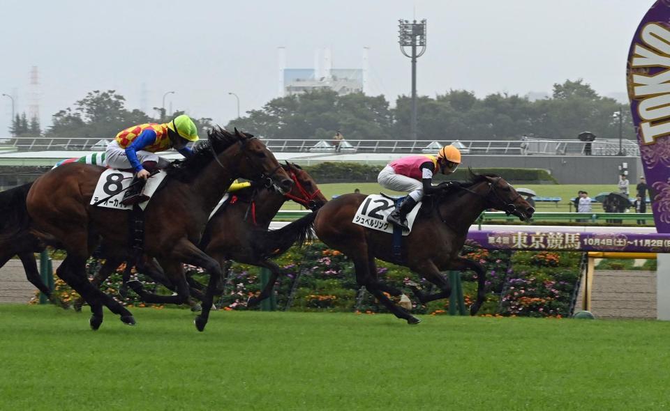 　新馬戦を勝ったシュペルリング（撮影・持木克友）