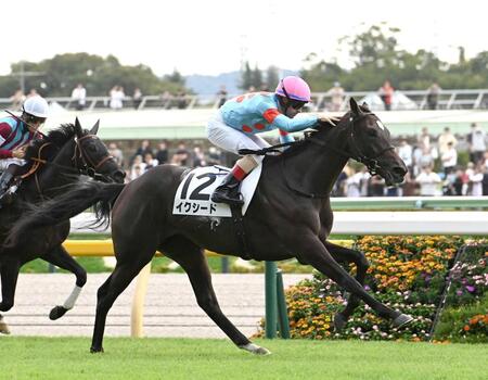 　新馬戦を勝利し、ルメールに頭をなでられるイクシード（撮影・園田高夫）