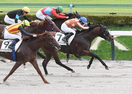 　新馬戦を勝利したレイオブファイア（右）＝撮影・園田高夫