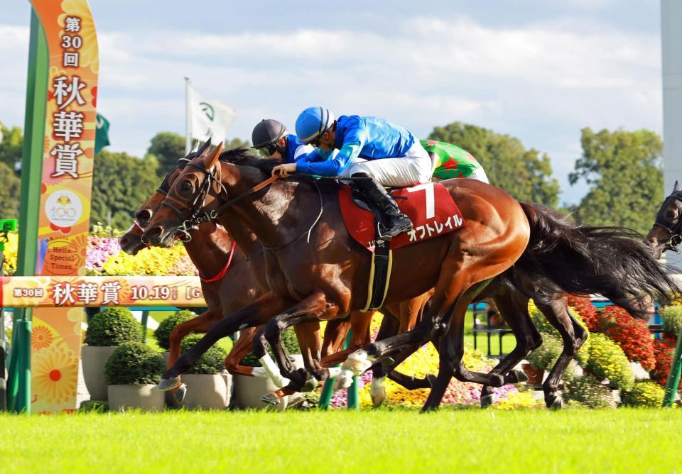 　スワンＳを制したオフトレイル（撮影・石湯恒介）