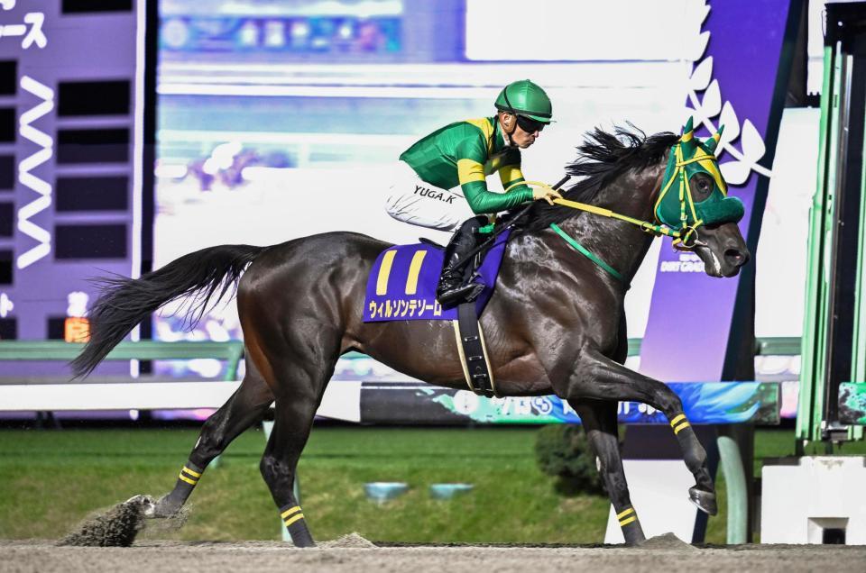 　マイルチャンピオンシップ南部杯を制したウィルソンテソーロ