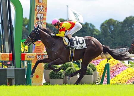 　新馬戦を制したジャスティンビスタ（撮影・石湯恒介）