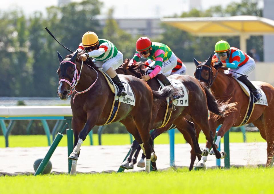 　新馬戦を快勝したバルセシート（左）＝撮影・石湯恒介