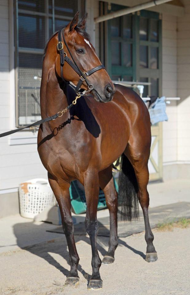 　母系から大舞台での強さを受け継ぐジョスラン