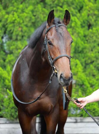 　アンドゥーリル