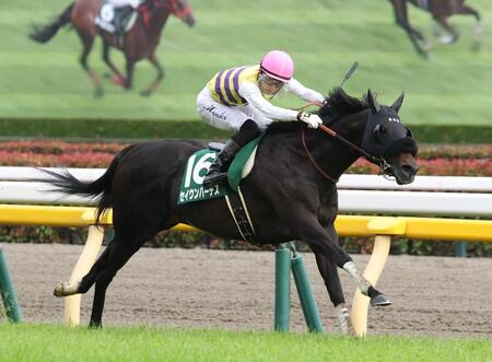 セイウンハーデスは菅原明との新コンビで天皇賞・秋へ　主戦・幸のかかと骨折の回復が遅れたため　西山オーナーがブログで明かす