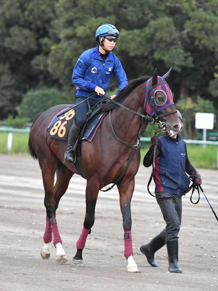 　デビュー２連勝を目指すモノポリオ