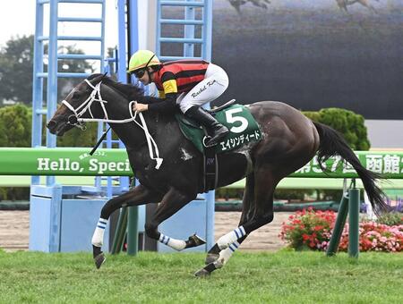 　函館２歳ステークスを制したエイシンディード＝７月２０日