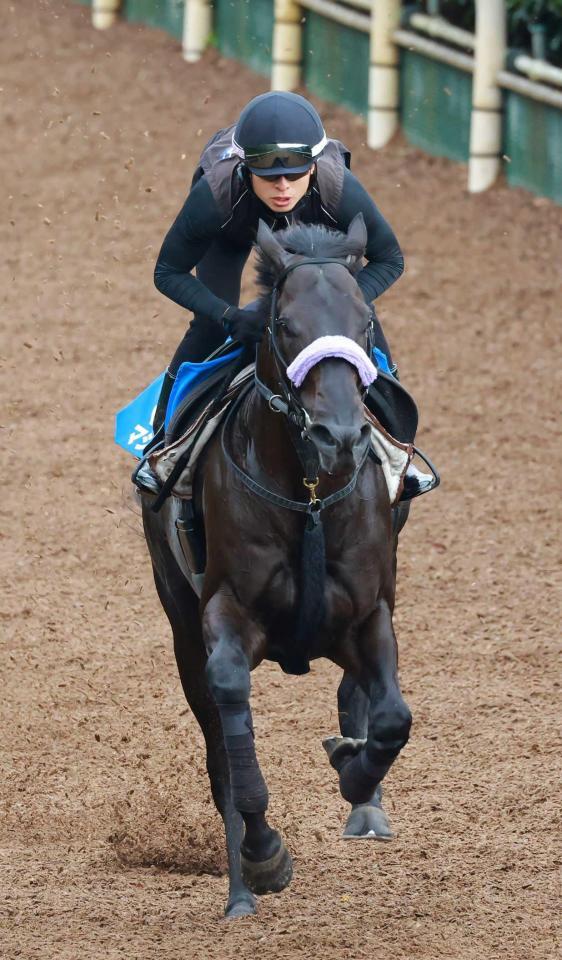 　栗東坂路を軽快に駆け上がったマジックサンズ