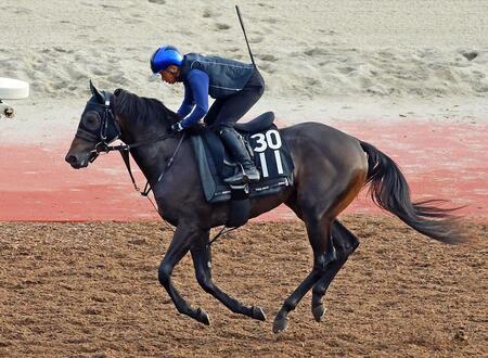 アスクエジンバラは京都２歳Ｓに向かう　ブラックチャリスは引き続き浜中でファンタジーＳへ
